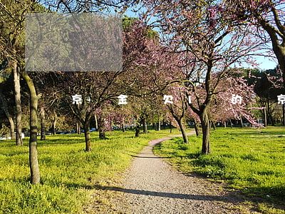 京東金條欠1萬的圖(京東金條一萬)