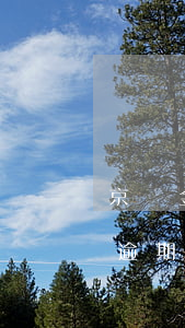 京東金條欠2萬逾期一天多少利息(京東金條逾期了一天還清了,能再借嗎?)