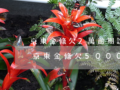 京東金條欠2萬逾期說要發(fā)律師函 京東金條欠5000逾期多久會(huì)寄律師函