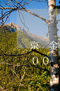 京東金條欠3000上門(京東金條逾期5000,說要上門催收是真的嗎)