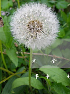 京東金條欠300(京東金條欠了一萬二逾期半年說起訴我)