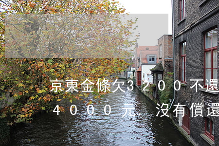 京東金條欠3200不還了(欠京東金融金條4000元.沒有償還能力了)