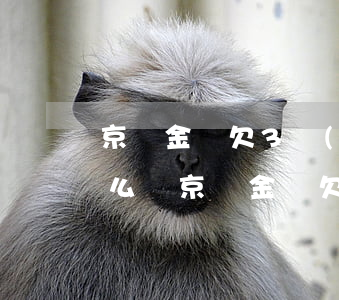 京東金條欠3個(gè)月會(huì)怎么樣(京東金條欠3個(gè)月會(huì)怎么樣)