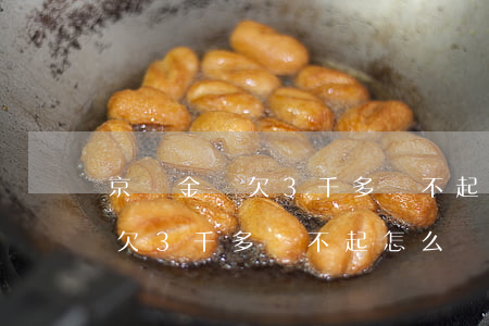 京東金條欠3千多還不起怎么辦-京東金條欠3千多還不起怎么辦呢