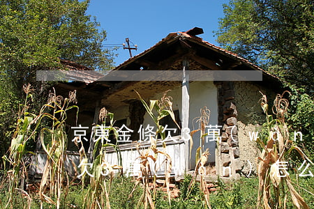 京東金條欠3萬(wàn) 怎么辦(京東金條欠3萬(wàn) 怎么辦)