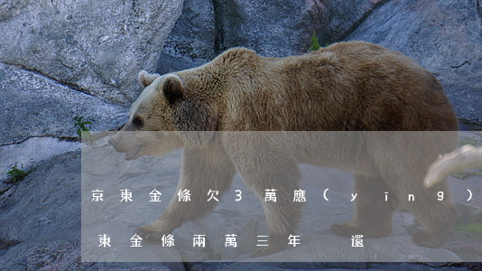 京東金條欠3萬應(yīng)該怎么還(京東金條兩萬三年沒還)