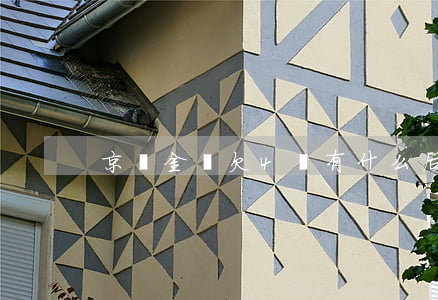 京東金條欠4萬有什么后果