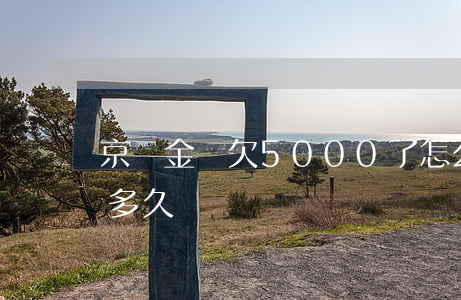 京東金條欠5000了怎么辦(京東金條能欠多久)