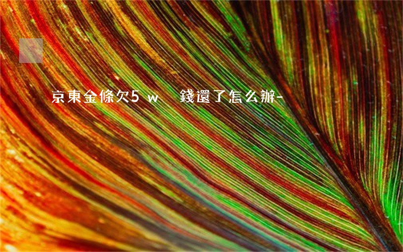 京東金條欠5w沒錢還了怎么辦-