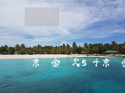 京東金條欠5千(京東金條5萬)