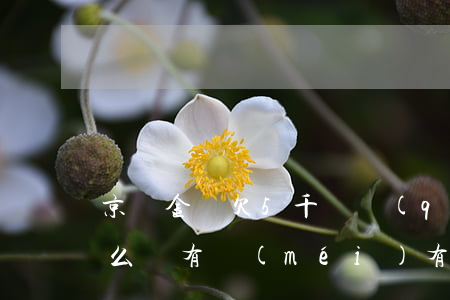 京東金條欠5千塊錢(qián)逾期了怎么辦(有沒(méi)有京東金條逾期幾萬(wàn)暫時(shí)還不上的)