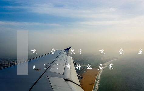 京東金條欠5萬(京東金條五萬多不還會(huì)有什么后果)