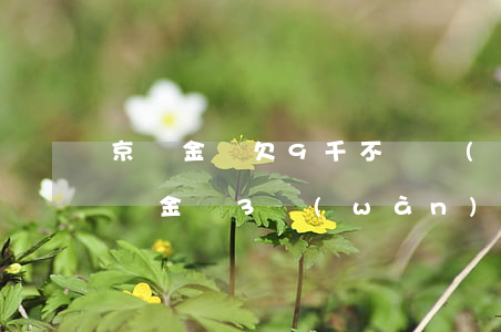 京東金條欠9千不還會(huì)怎么樣(京東金條3萬(wàn)多沒(méi)還怎么辦)