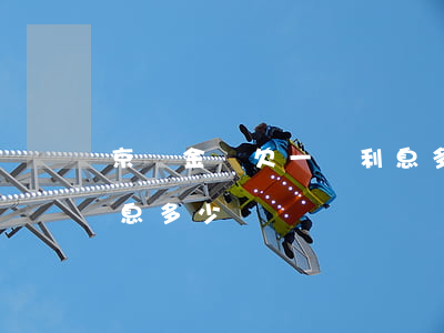 京東金條欠一萬利息多少(京東金條借一千利息多少)