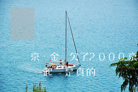 京東金條欠了2000(京東金條欠了八百他說起訴是真的嗎?)