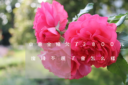 京東金條欠了2800元(京東金條欠款幾千塊錢不還了會怎么樣)