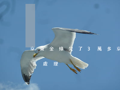 京東金條欠了3萬多(京東金條欠了二十萬怎么處理)