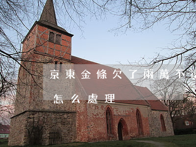 京東金條欠了兩萬不還(京東金條欠了二十萬怎么處理)