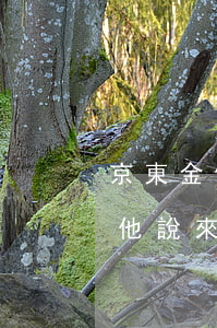 京東金條欠了多年(京東金條欠兩千多三個月他說來家里)
