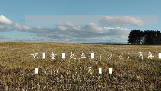 京東金條欠五個(gè)月再還(京東金條3個(gè)月沒還)