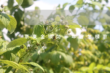 京東金條欠半年會怎樣(京東金條欠一個月)