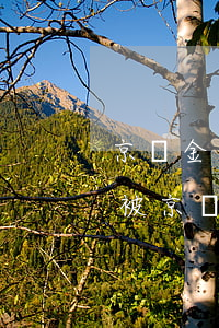 京東金條欠多少要被起訴(欠京東金條一萬多被京東起訴會怎么樣)