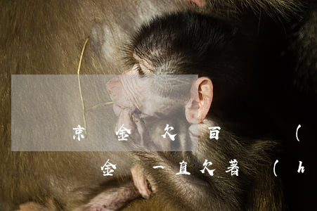 京東金條欠幾百塊錢會(huì)怎么樣(京東金條一直欠著會(huì)怎么樣)