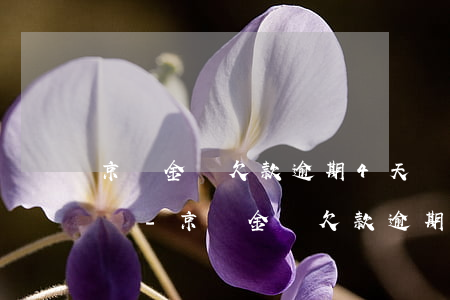 京東金條欠款逾期4天會(huì)上征信嗎-京東金條欠款逾期4天會(huì)上征信嗎知乎