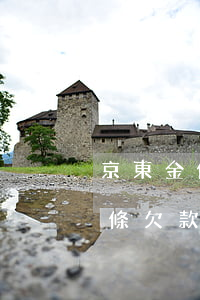 京東金條欠款逾期可以只還本金嗎-京東金條欠款逾期可以只還本金嗎