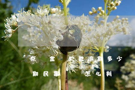 京東金條欠款逾期多少會被起訴（京東金條逾期民事糾紛怎么判）