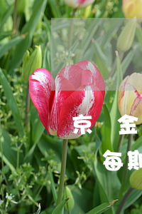 京東金條每期賬單都逾期一個星期-京東金條每期賬單都逾期一個星期怎么辦