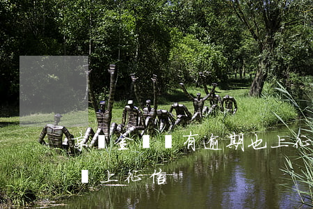 京東金條沒有逾期也上征信-我的京東金條沒上征信