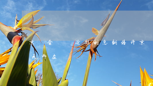 京東金條沒逾期利息翻倍升 京東金條利息每天都在漲