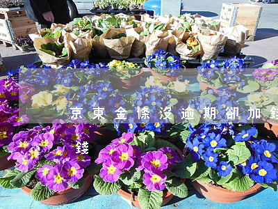 京東金條沒逾期卻加錢(京東金條沒逾期卻加錢)