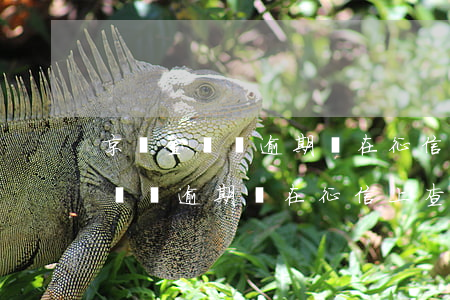 京東金條沒逾期會在征信上查到嗎-京東金條沒逾期會在征信上查到嗎是真的嗎
