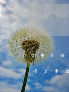 京東金條沒逾期有事嗎 京東金條不還會怎么樣京東金條逾期三個月