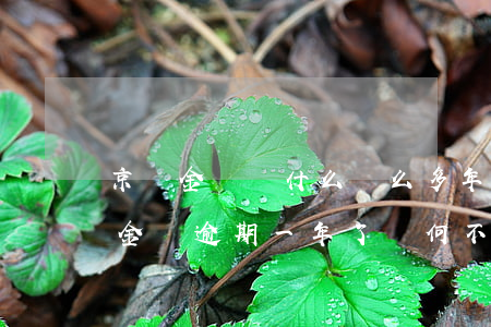 京東金條為什么這么多年沒有逾期(我欠京東金條逾期一年了為何不起訴我)