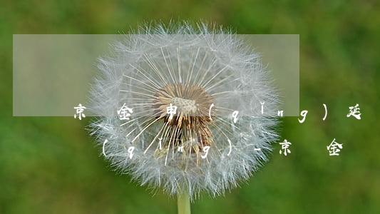 京東金條申請(qǐng)延遲還款怎樣申請(qǐng)-京東金條申請(qǐng)延遲還款怎樣申請(qǐng)的