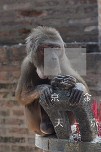 京東金條當(dāng)天還款顯示剩余幾天-京東金條當(dāng)天還款顯示剩余幾天還款