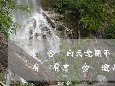 京東金條白天逾期不還會(huì)怎么樣(有沒有京東金條逾期幾萬暫時(shí)還不上的)
