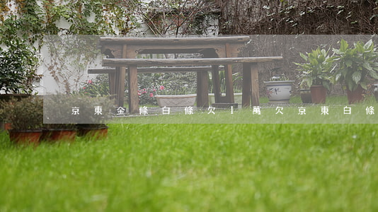 京東金條白條欠1萬(欠京東白條一千塊)