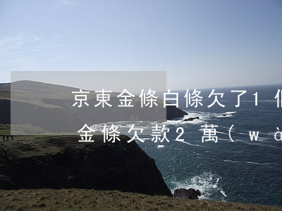 京東金條白條欠了1個(gè)月(京東白條金條欠款2萬(wàn)元會(huì)坐牢嗎)