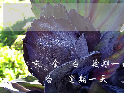京東金條白條逾期一天會上征信嗎-京東金條白條逾期一天會上征信嗎知乎