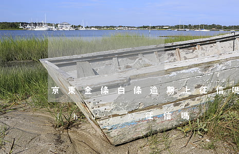 京東金條白條逾期上征信嗎 京東白條逾期會(huì)征信嗎