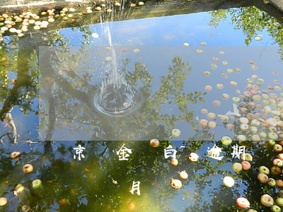 京東金條白條逾期兩個月 京東金條白條逾期兩個月