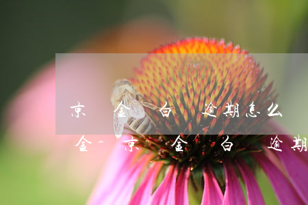 京東金條白條逾期怎么協(xié)商還本金-京東金條白條逾期怎么協(xié)商還本金的錢
