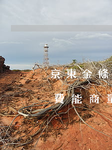 京東金條的逾期費能商量嗎(京東金條的逾期費能商量嗎)