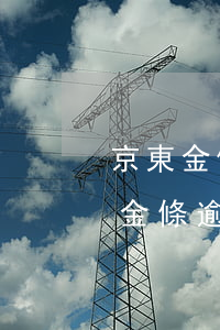 京東金條網(wǎng)貸逾期怎么辦(京東金條逾期一天要求全部還清可以投訴嗎)