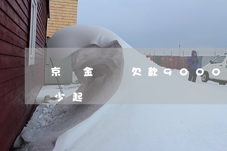京東金條總欠款9000逾期(京東金條欠多少起訴)