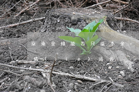 京東金條能否只還本金-京東金條可以全部結(jié)清么